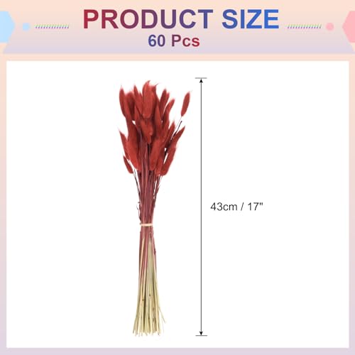 Fleurs séchées queue de lapin rouge QUARKZMAN | Bouquet 17" 60 pcs - 3