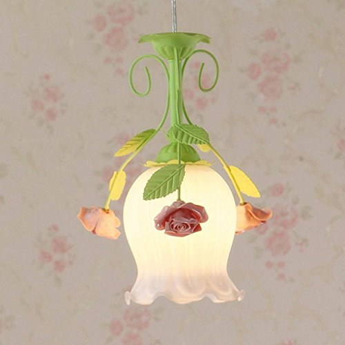 Lustre de couloir créatif GZ - Petit luminaire en fer au design pastoral moderne