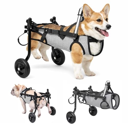 Carrozzina per Cani Leggera e Regolabile con Supporto Zampe Posteriori Pieghevole, Sedia a Rotelle Mobile per Cani di Piccola Taglia con Gambe Disabili o Paralizzate, Aiuto alla Mobilità e Riabilitazi