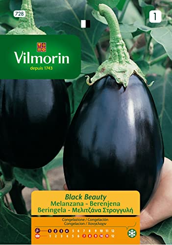 Semillas de BERENJENA BLACK BEAUTY S 1, 3 gr