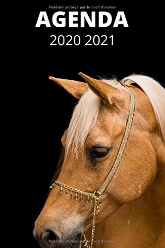 Télécharger Agenda 2020 2021: Agenda 2020 2021 : Agenda scolaire cheval 2020 2021 | Agenda cheval école primair Livre PDF Gratuit