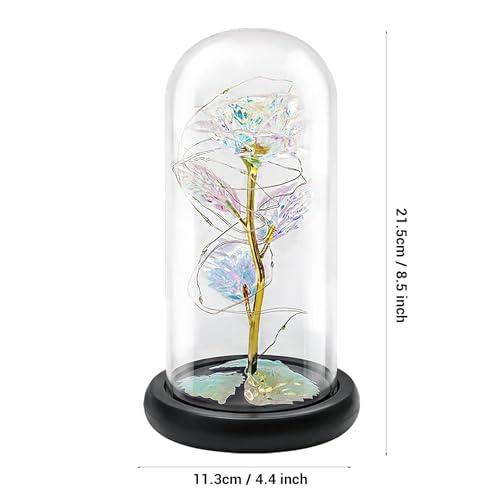 Image of TIED RIBBONS Decorative Flower Women's Day Gift for Wife, Girlfriend, Sister, Mother, Colleague - Artificial Forever Rose Gift Decorative Light up Rose in Glass Dome