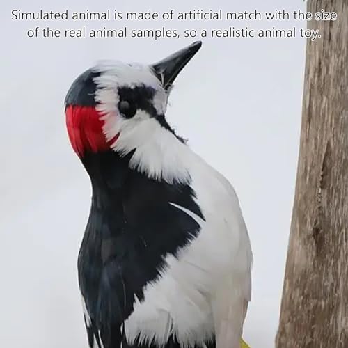 Statue d'oiseaux artificiels réalistes haut de gamme en plumes naturelles Woodpecker 12"