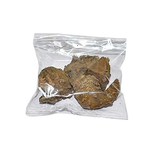 Egal LAXRA Biologische Kasturi Haldi/Wilde Kurkuma/Jungli Haldi/Curcuma Aromatica/Kasturi Manjal (100 g) - Afbeelding 4