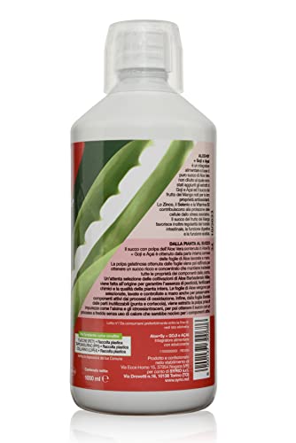 Aloe-Sy Goji+Acai 1000Ml - 5