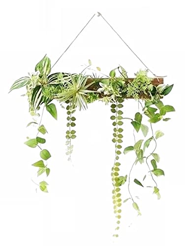 MedianField y ϗtA G} L  R EH[O[ z tFCNO[ Ǌ| 50cm×40cm tbNt  tFCN  lHϗtA GA[vc  ^ t[ CeA AeB[N G lH