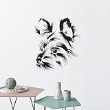 Contenu : 1 autocollant en vinyle noir, 1 film de transfert, 1 manuel d'instructions (français non garanti)