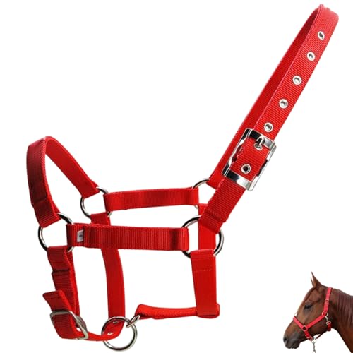 Licol pour cheval réglable et licou en corde léger avec sangle PP 25 mm