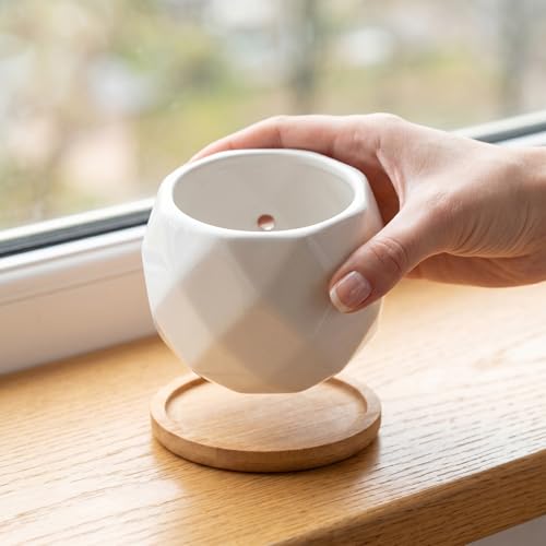 Jucoan 6 Stück Keramik Sukkulenten Übertopf mit Bambus Tablett Topf Blumentopf Keramik Klein Blumentopf mit Loch für Haus Balkon Büro Weiß… – Ansicht 3