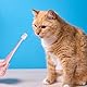 3 Stück Kleine Katze Zahnbürste,360 Grad Katzen Zahnbürste Weich,Langgriff Katzenzahnbürste für Katzen,Wiederverwendbar Hundezahnbürste für Kleine Hunde,Haustiere Silikon Toothbrush,für Dogs,Katzen