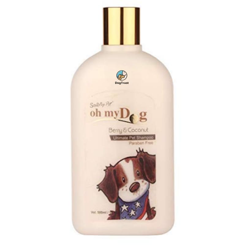Dog Trust Dog Shampoo - Deep Clean, Dirt & Odor Remover w/Activated Charcoal for Dogs, Gentle Formula w/Natural Aloe, Olive Oil & Coconut Oil, Pet Hair Care & Grooming 16 oz 500 ML (B0D66XSLBJ) Amazon Price History, Amazon Price Tracker