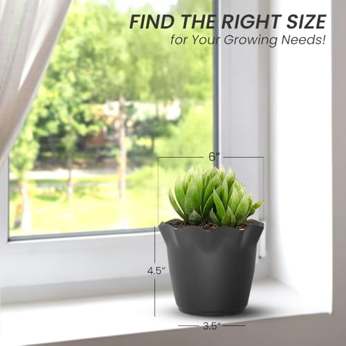 Image of YUCCABE ITALIA SHERA Flower Plastic Flower Pot Unbreakable Round Shape Planter with Drainage Holes Planter Suitable for Home Garden Seedling Indoor and Outdoor (Grey, 6 INCH - 12 Pcs)