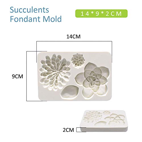 2Pcs Fondant Mold Succulent Silicone Fondant Mold Fern Fondant Mold Succulent Leaves Silicone Candy Molds Cake Decoration Molds Gumpaste 3D Silicone Molds For Polymer Clay, Cupcakes, Resin Sugarcraft #TOP1