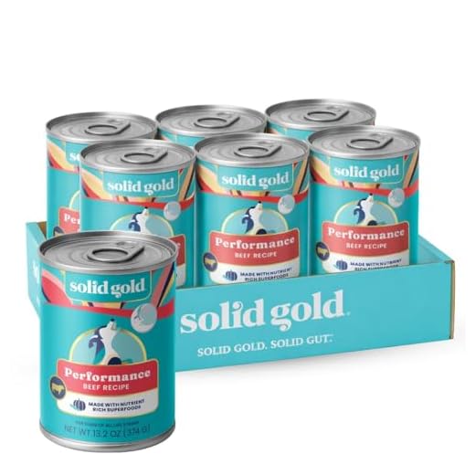 Solid Gold High Protein Wet Dog Food for Large Dogs & Small Dogs - Soft Grain Free Canned Dog Food w/Real Beef, Prebiotics & Superfoods for Gut Health & Immune Support - All Ages - 6ct 13.2oz Cans