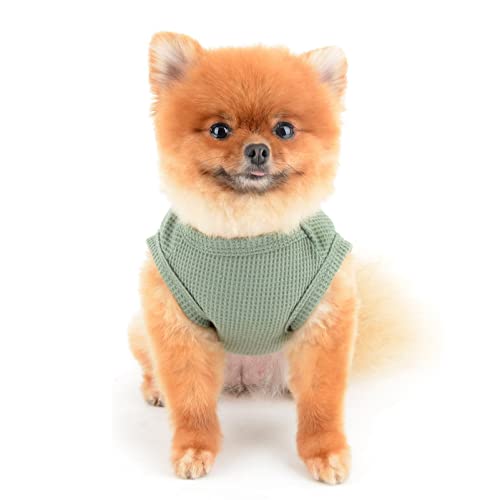 SMALLLEE_LUCKY_STORE Camiseta regata de malha waffle urso fofo para cães pequenos gatos menino menin