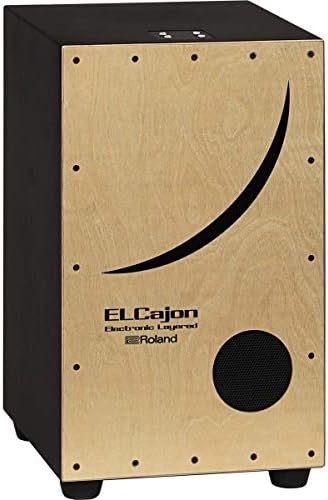Roland EC-10 Electronic/Acoustic Hybrid Cajon