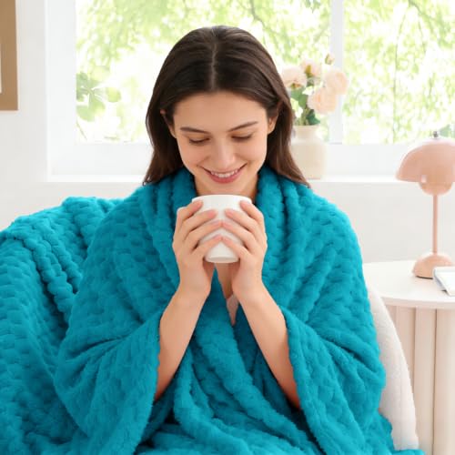 Image of BEDELITE Jewel Blue Twin Blanket for Couch, Soft Cozy Gift for Women, 60*80