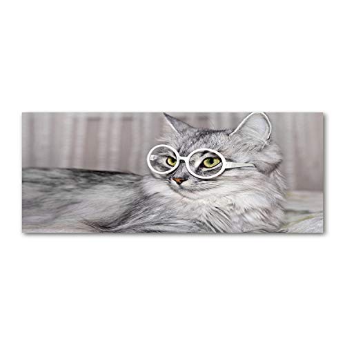 Fond de hotte verre trempé 125x50cm splashback anti projection