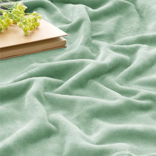 Image of BEDELITE Fleece Blanket King Size Blankets for Bed, Luxury Plush Cozy Fuzzy Blanket 108x90 inches, Super Soft Warm Lightweight Throw Blanket All Seasons Suitable, Mint Green