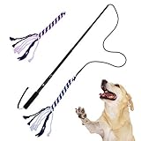 nuoshen Retractable Dog Toy Stick with 2 Tease Chew Toys Rope, Flirt Pole Rope Tug Dog Toy for Pulling, Chasing, Chewing, Training Exercise (Size L)