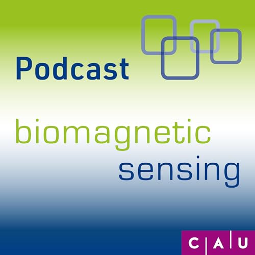 Biomagnetic Sensing: From Sensors to Diagnosis cover art