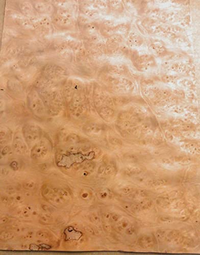 Pimento Pepperwood Burl Wood Veneer 13