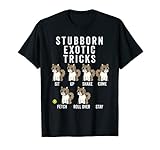 gato exotico pelo corto barcelona Este Stubborn Gato Exótico Tricks es un gran regalo para un dueño de un Gato Exótico. Cuenta con un Exotic Shorthair Cat ilustración.