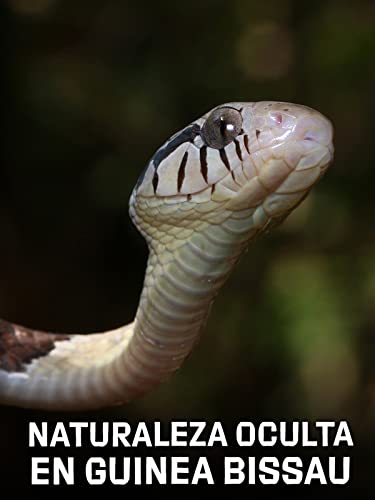 Naturaleza Oculta en Guinea Bissau