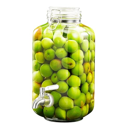 Ecocoer ~p e KXۑr ^Cv e ֌t hNfBXyT[ WtW[ ʎECEHip (5kg,XNGA+XeX֌)