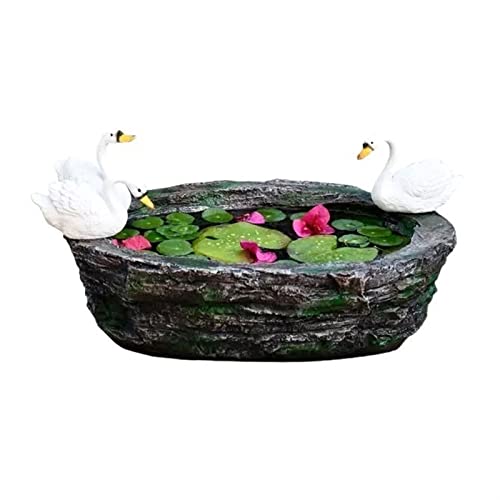 Pot de fleur de cygne hydroponique grand calibre pour éviter le flétrissement