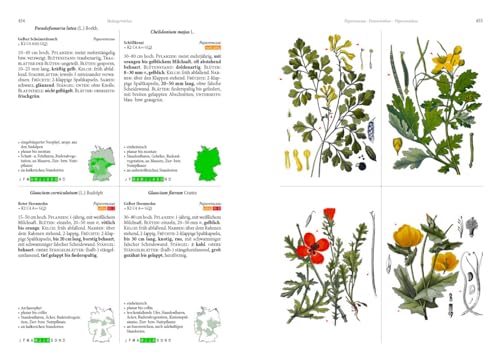 Die Flora von Deutschland. Alle heimischen Arten: Über 2.500 Pflanzen. Mit Bestimmungsschlüssel.