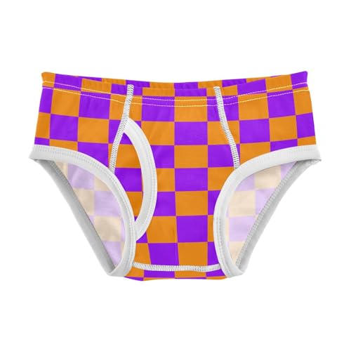 Orange and Purple Buffalo Checkered Toddler Boy's Underwear 2T