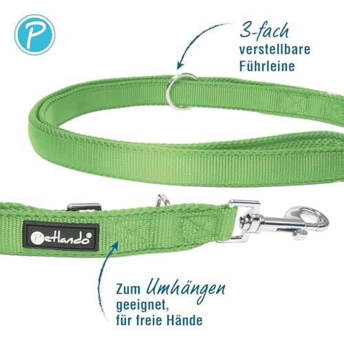 Petlando Mesh 3 m Führleine L Apple 3 m / 30 mm