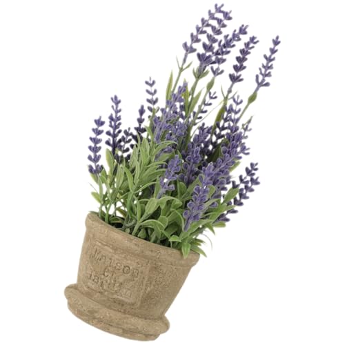 ERINGOGO tFCNx_[~ A CeA ^eiXsv A fXNu ƂItBX