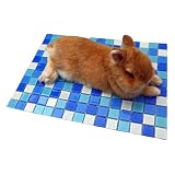 NEXAVKPR Cooling Stone Pad for Hamsters Rabbits Small Pet Easy Chew Shelter for Pet Animal Heat Relief House