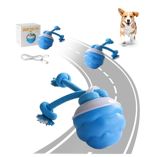 Chase Buddy Dog Toy