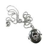 cyberdog  Cyberdog Halskette Locket Pendant Chrom
