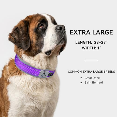 Image of Joytale Dog Collar for Extra Large Dogs, Neoprene Padded and Adjustable, Reflective Wide Heavy Duty Pet Collars with Durable Metal Belt Buckle for Walking, Purple, XL