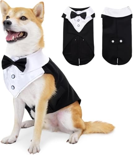 Qfmr   m ̕ ^LV[h ybg am  m  X[c  ^ ^ Č _bNX S[fgo[ sbgu uh[ lN^C nEB NX}X   ϐg (ubN,S)