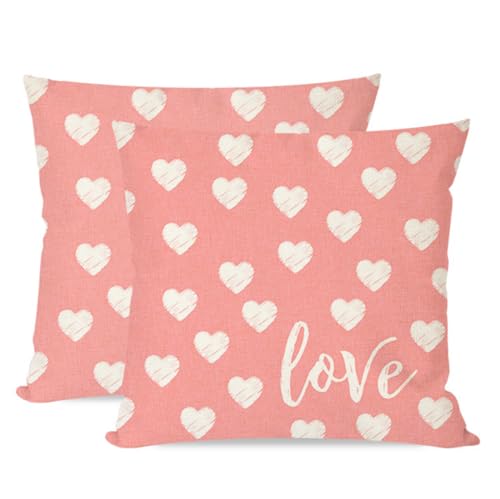PANDICORN Valentines Day Pillow Covers 18X18 Inch Set of 2 Heart Love Pink Valentines Day Decor Outdoor Modern Farmhouse Decorations Pastel Valentine Decorative Throw Pillow Cases for Home Sofa Couch