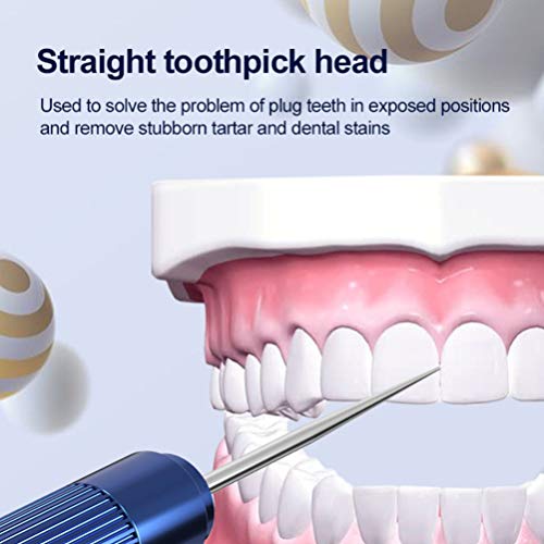 EXCEART 1 conjunto de palitos de dente longos profissionais de aço inoxidável, bolso reutilizável, f