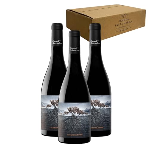 La Garnacha Perdida del Pirineo - Ideal para Maridar con Carne y Comida Mediterránea - Pack 3 Botellas 75cl