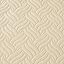 Wave Pattern Camel