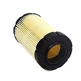 Auténtica Briggs parte Filtro de Aire Briggs and Stratton Original. Ref 594201