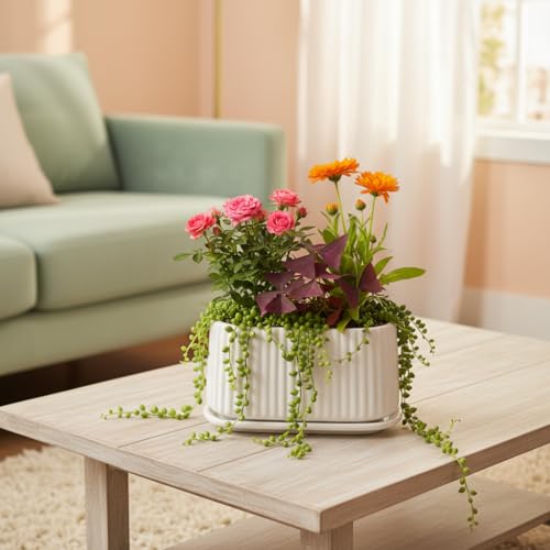 Image of Xtore Elegant Ribbed Oval Planter Pot with Drain Tray for Indoor & Outdoor Plants | Minimal Modern Flower Pot (White, 23.5 cm) (Planter only)