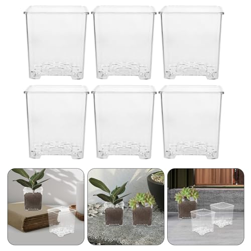 Pots à orchidées transparents avec drainage et aération pour plante