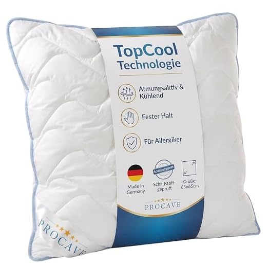 PROCAVE TopCool Kopfkissen Kochfest 65x65 cm, Qualitäts-Stepp-Kissen, atmungsaktives Allergiker Kissen, Winter- und Sommer-Kissen 100% aus Deutschland