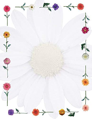Great Papers! Daisies Letterhead, 80 Count, 8.5