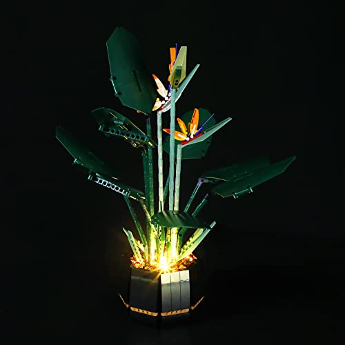 Image of LIGHTAILING Light Set for Lego 10289 Bird of Paradise Building Blocks Model: Remote Control Version - Model Set Not Included