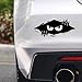 (2 Stickers) Lumiere Tech Car Decals - Funny Monster Car Sticker for Cars, Trucks, Jeep, Laptops, Car Dents & Sports Vehilces - (Large 11